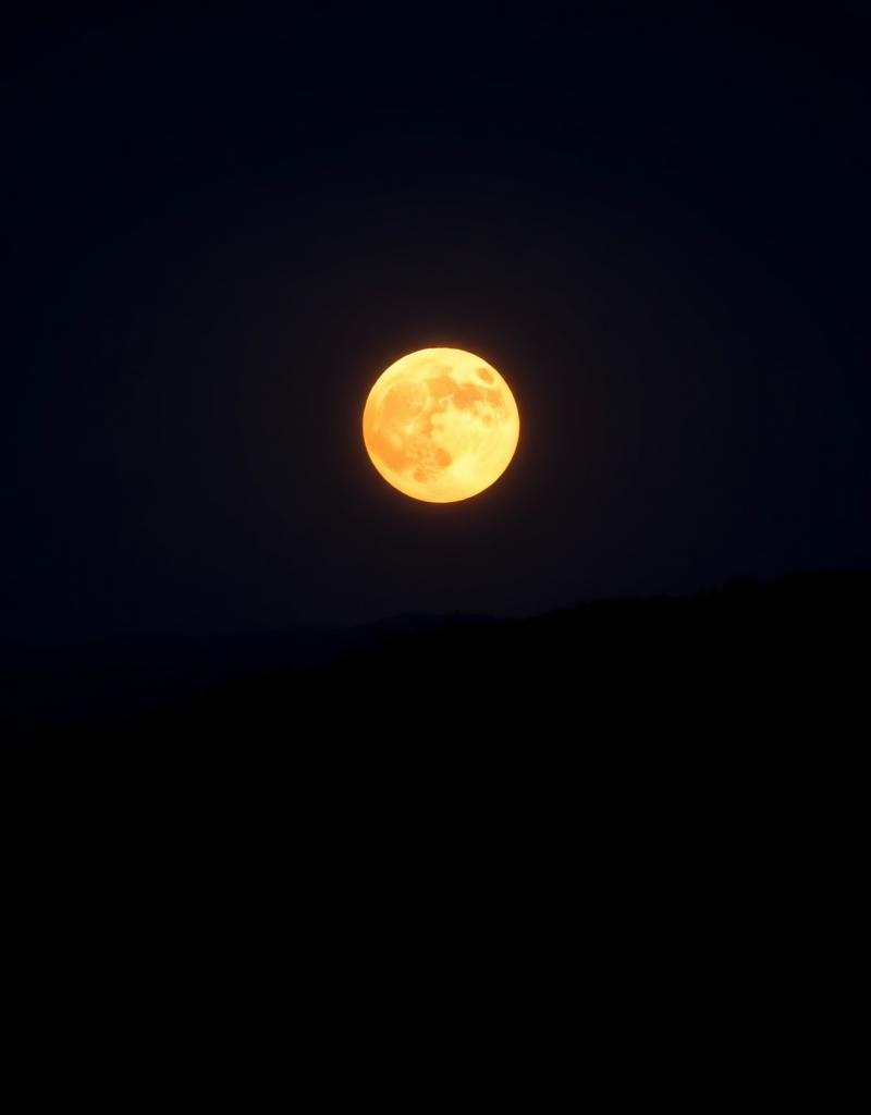 How the Moon Shapes Life on Earth
